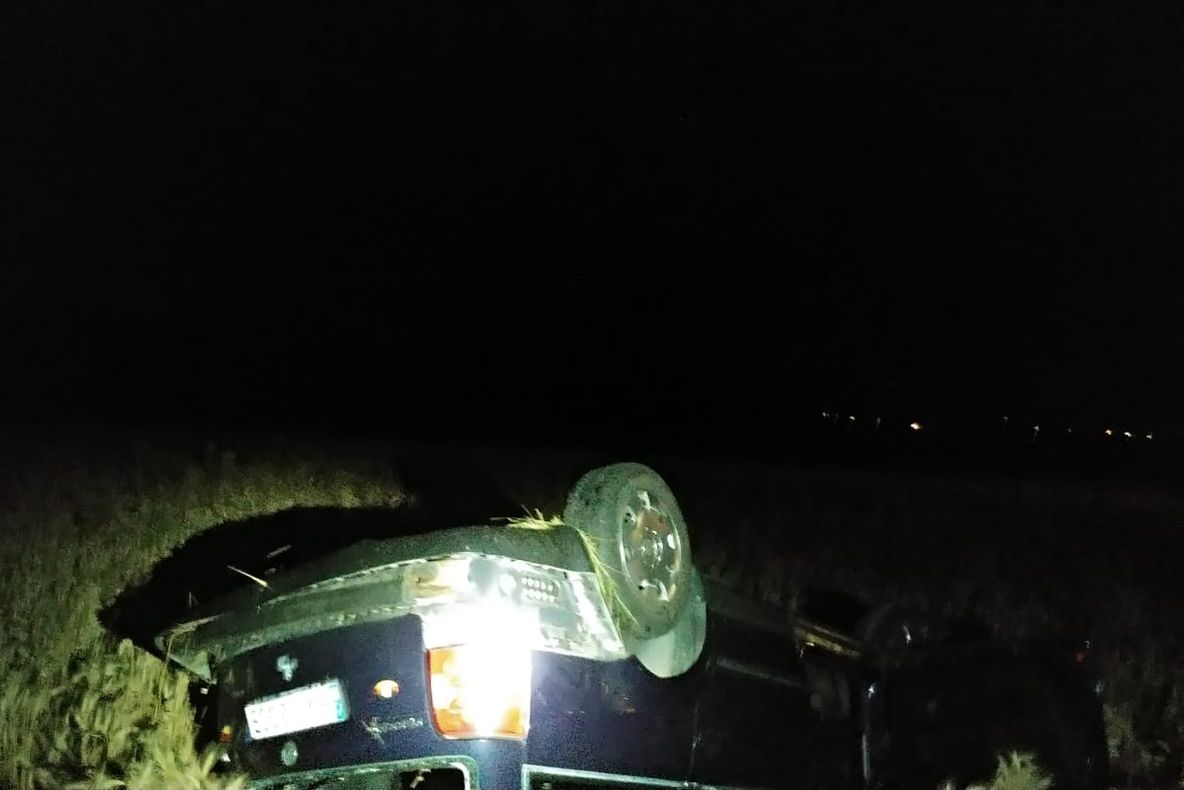 Cal omorât de o mașină, într-un accident, pe DN72