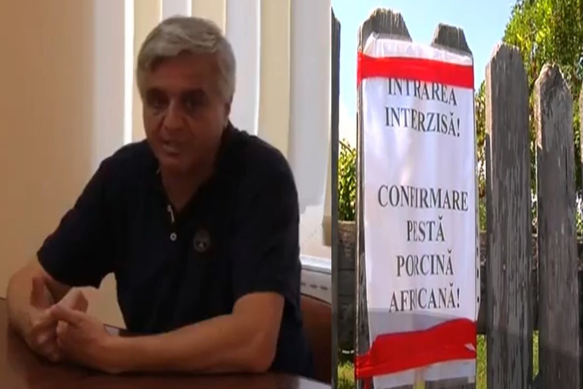 Măsuri excepționale pentru stoparea pestei porcine africane.Toți porcii mistreți vor fi eutanasiați