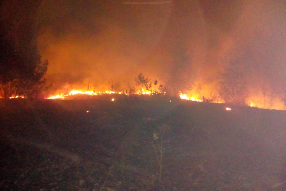 VIDEO Suprafață imensă de vegetație uscată, cuprinsă de flăcări, la Crângurile