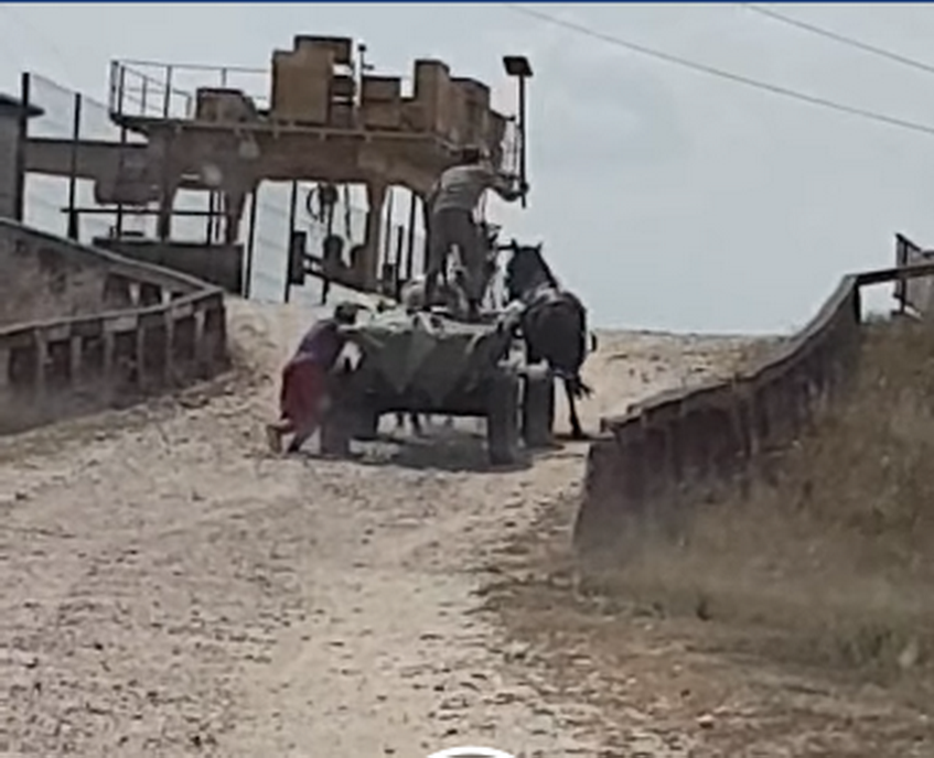 VIDEO Bărbat cercetat pentru scene de o cruzime rară. Cum își „pedepsește” caii