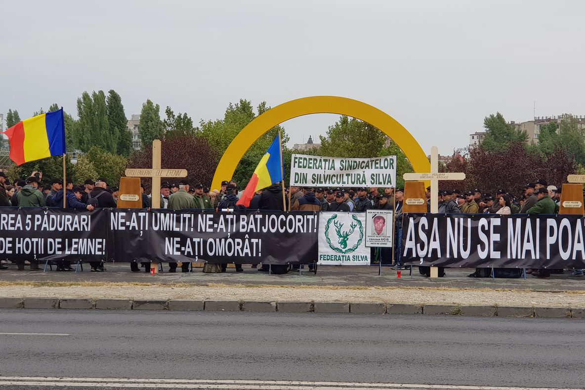 Silvicultorii ies în stradă: "Așa nu se mai poate!!!"