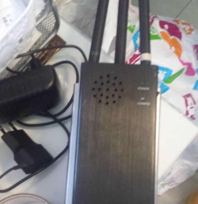 Acțiuni în forță pentru combaterea tigrului platanului, la Târgoviște. Insecta i-a disperat pe târgovișteni