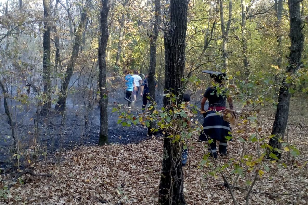 Pădure în flăcări la Uliești