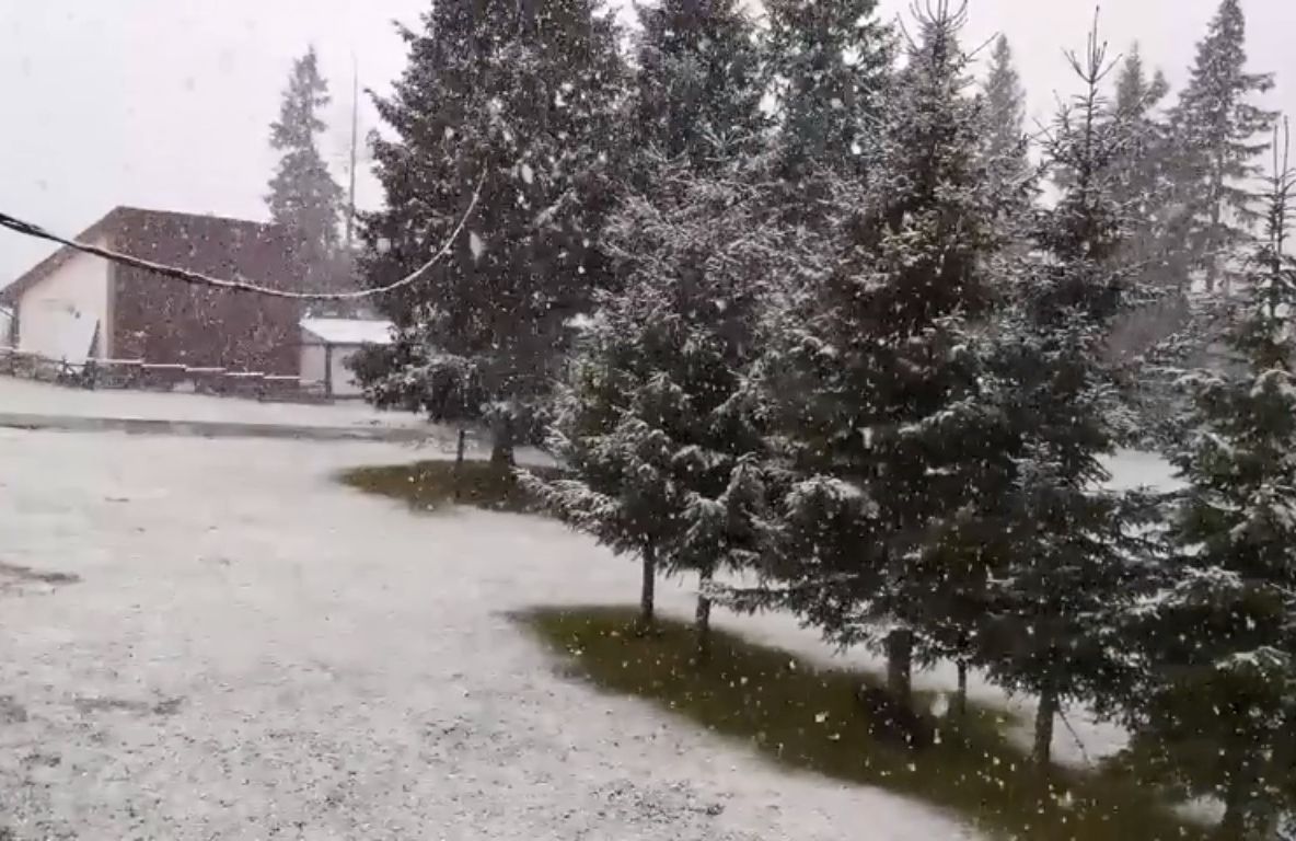 Video| Atenție, a venit iarna! În Bucegi ninge de ore bune. Meteorologii atenționează