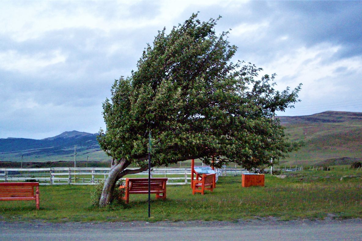 PROGNOZA METEO JOI. Scad valorile termice în regiunile nord-vestice