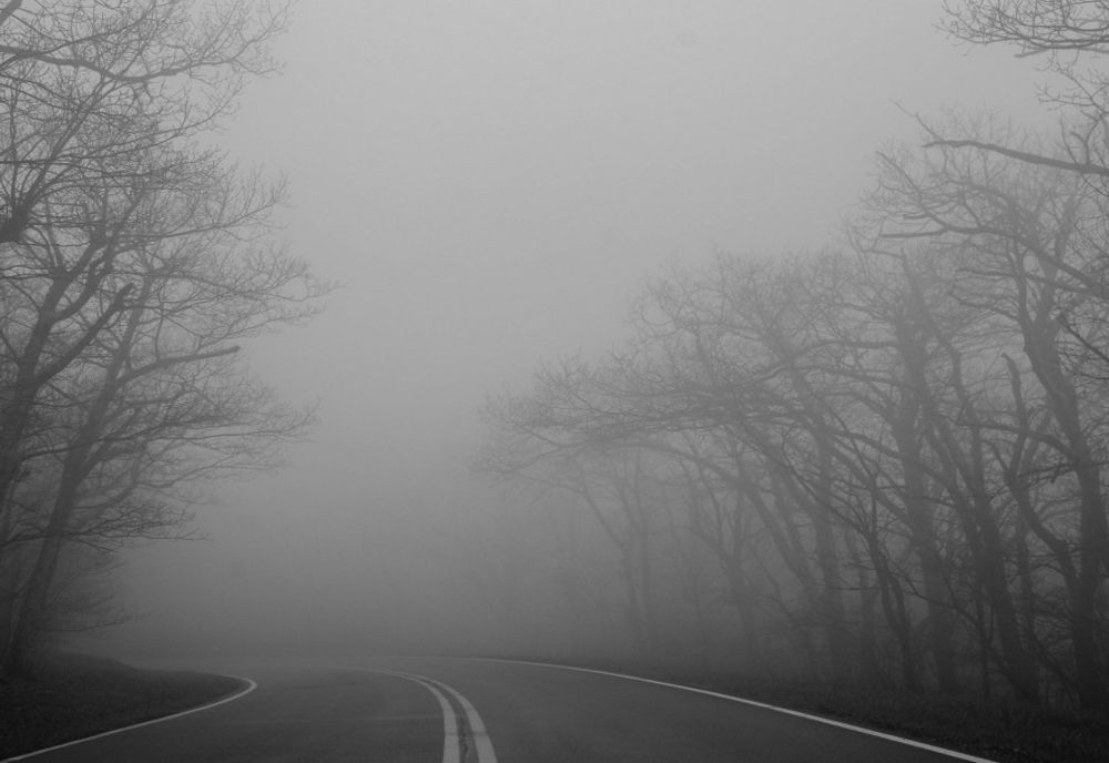 Coduri galbene de vânt și ceață în Dâmbovița