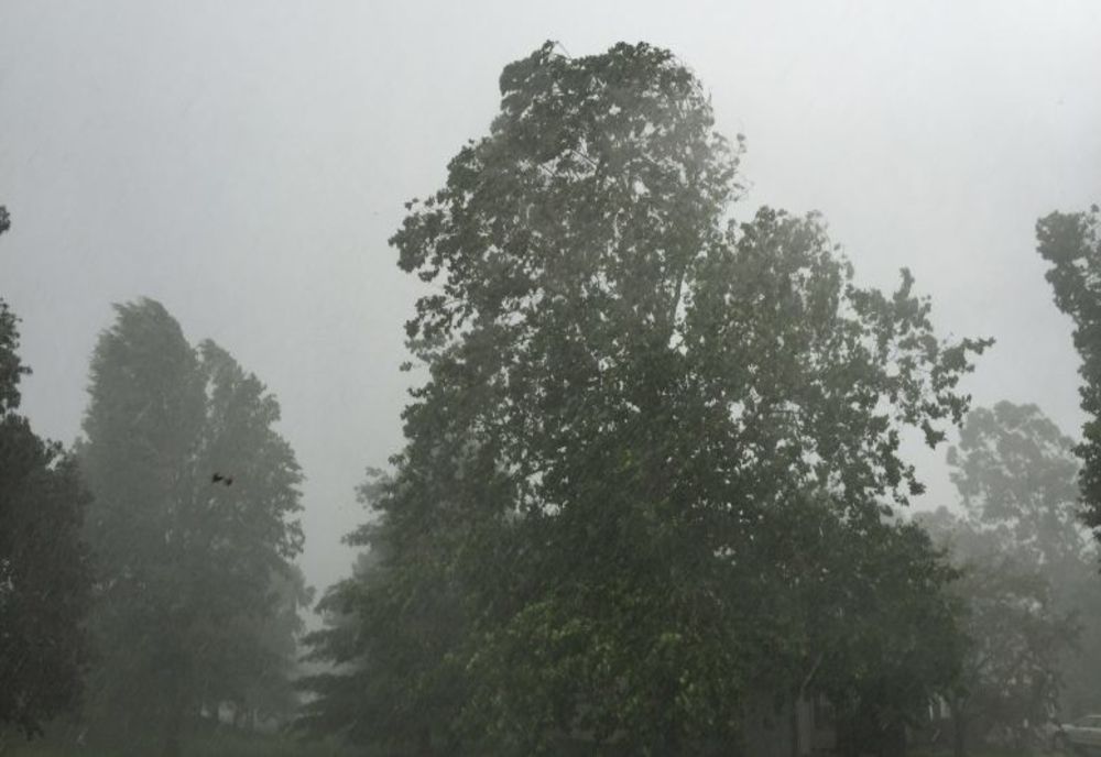 Cod galben de vânt puternic în opt județe, până la ora 23.00