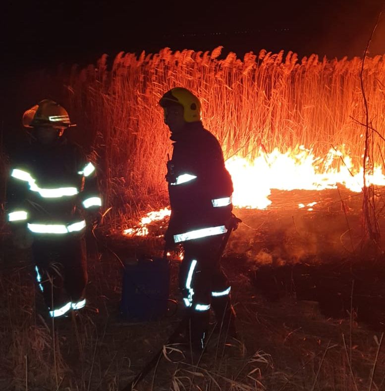 Video| Anormal! Pompierii din Dâmbovița se luptă cu un puternic incendiu de vegetație, la Vlădeni. Parcă ar fi mijlocul verii nu al...iernii
