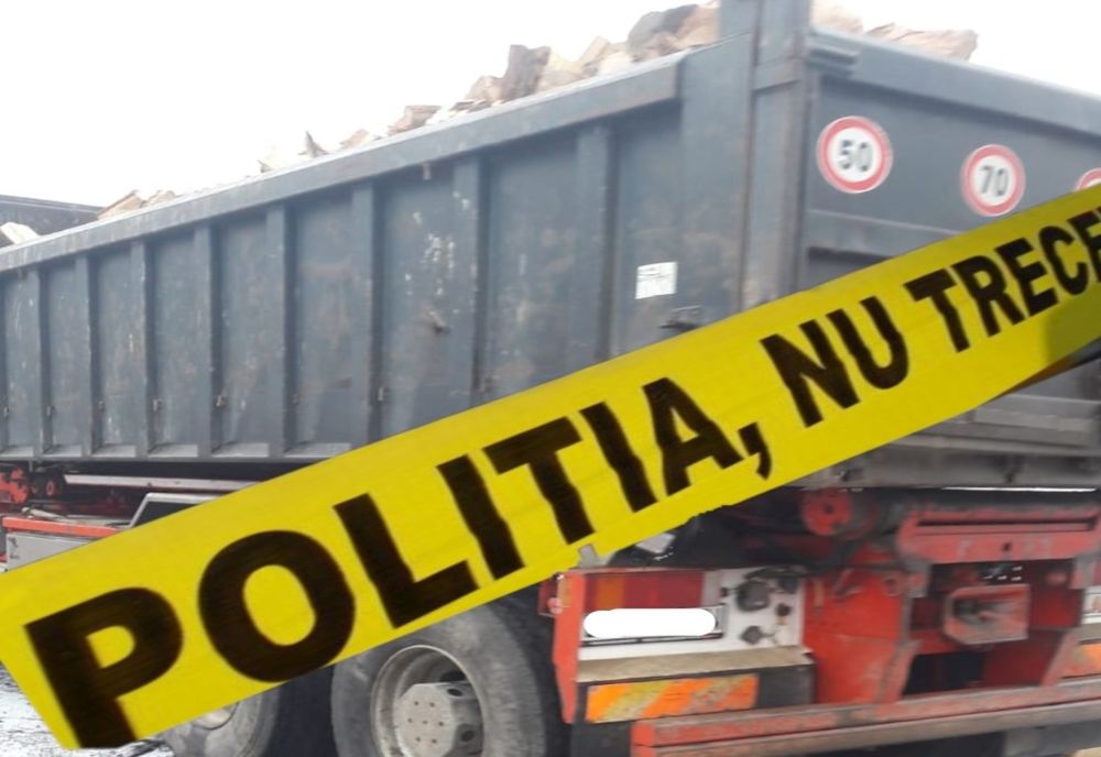 Tragedie într-un depozit de lemne din Dâmbovița. Un bărbat a căzut dintr-un camion și a decedat