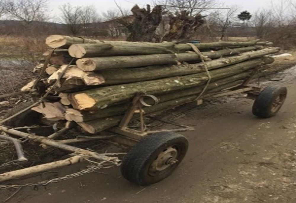 Nimic nu-i sperie. Prinși la "produs" de lemn, chiar în timpul restricțiilor impuse de Ordonanța militară 3