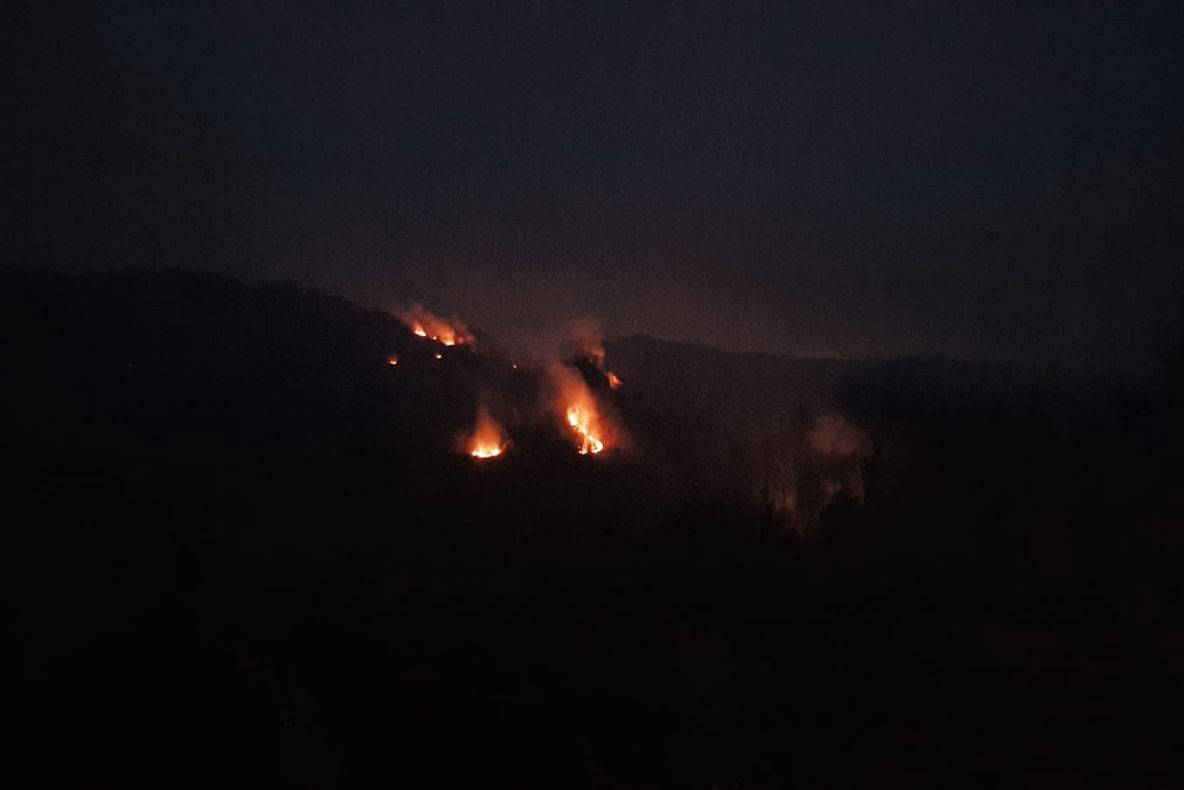 Foto-Video| Pompierii se luptă de mai bine de șase ore să stingă un puternic incendiu de pădure, la Buciumeni