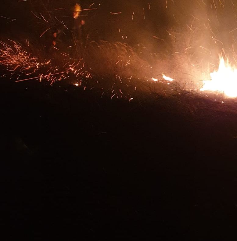 Video | Incendiu puternic de vegetație uscată la Filipeștii de Pădure, în Prahova. Intervin pompierii dâmbovițeni