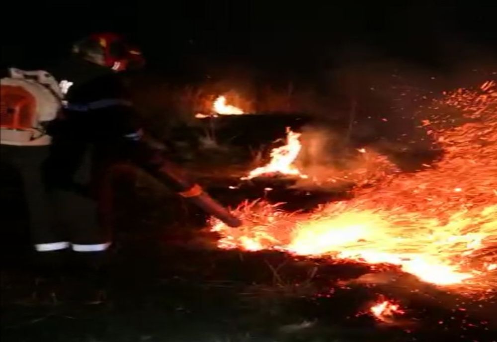 Video| Puternic incendiu de vegetație uscată aproape de Târgoviște, la Colanu