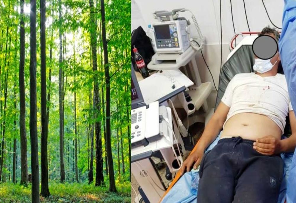 Bărbat din Șuța Seacă, bătut cu bestialitate de doi indivizi mascați, într-o pădure din Dâmbovița