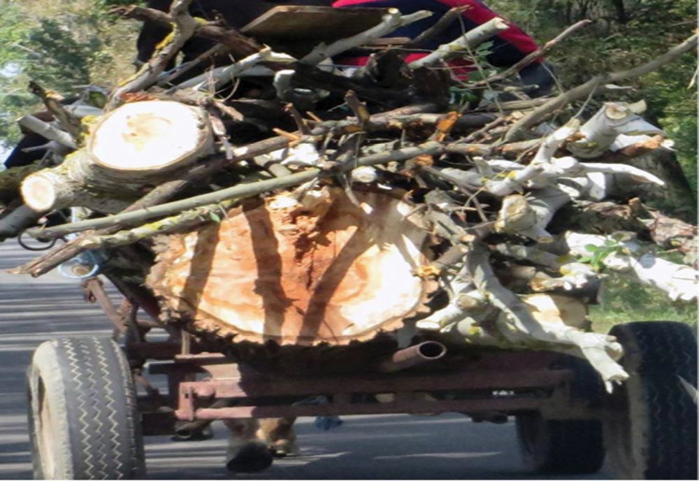 Tânăr din Dâmbovița, transportat în stare gravă la spital după ce s-a răsturnat căruța peste el