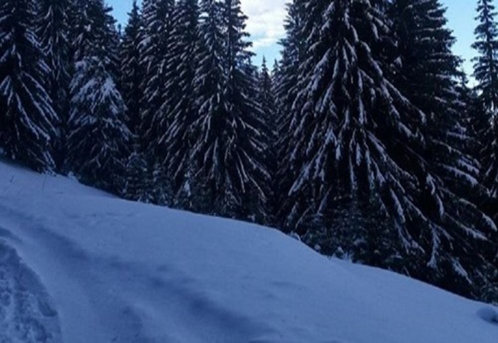 Circulația pe DJ 713 (Transbucegi), care face legătura între Dâmbovița și Prahova, a fost redeschisă. Recomandările polițiștilor 