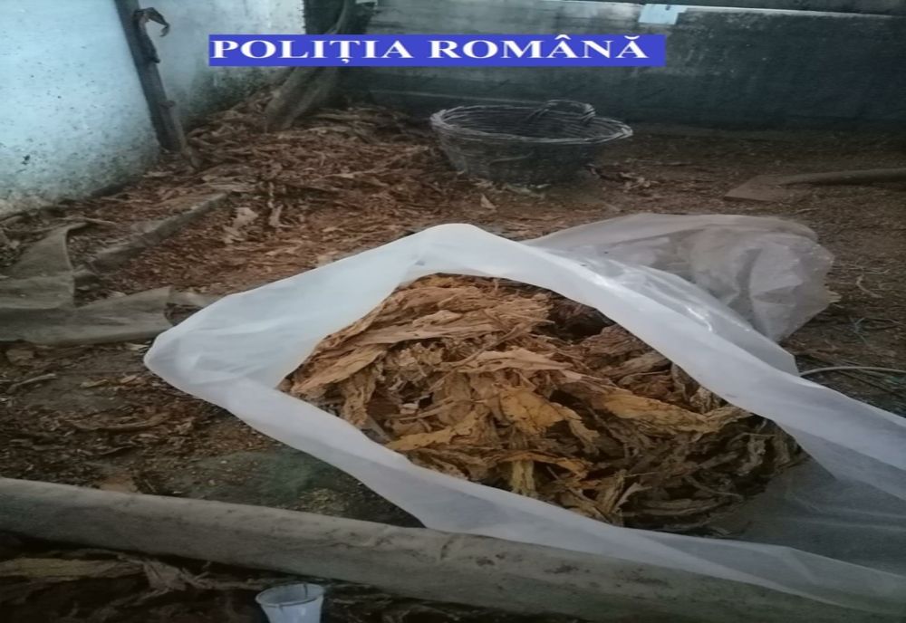 Percheziții în 6 județe și în București la suspecți de comercializare de tutun în mediul on-line