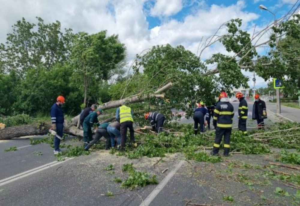 Dâmbovița. Zeci de curţi inundate şi copaci căzuţi peste cablurile electrice 