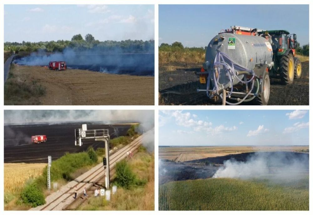 Dâmbovița. Incendiu puternic de vegetație în zona Hagioaica – Fusea