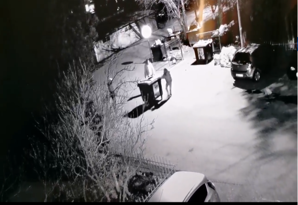 Pubele vandalizate într-o parcare din Găești