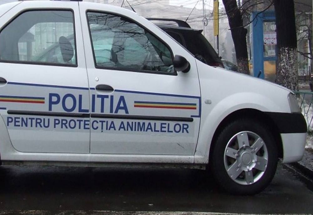 Polițiștii dâmbovițeni atrag atenția deținătorilor de câini: Nu abandonați animalele și aveți grijă de ele! 