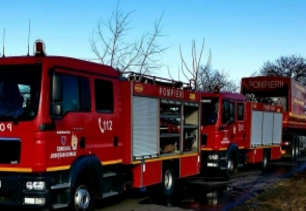 Dâmboviţa. Incendiu de proporții la Bâldana. O hală cu 100 de tone de rumeguș, în flăcări