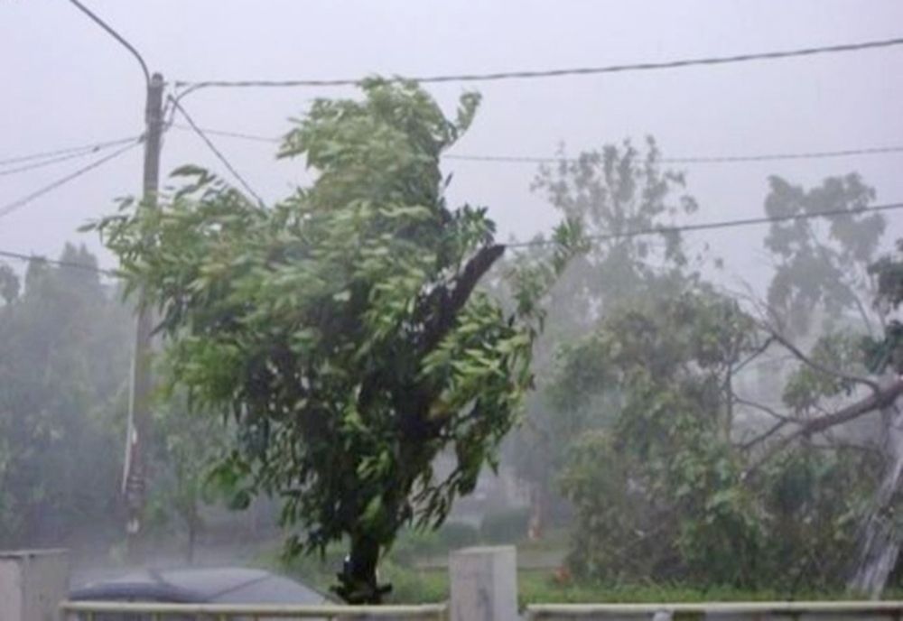 Avertizare meteo de vreme severă în nordul Dâmboviței! Meteorologii anunță cod galben de vânt puternic