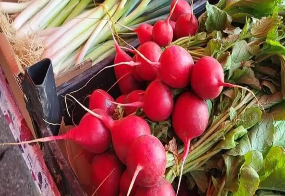 16 octombrie, Ziua Mondială a Alimentaţiei