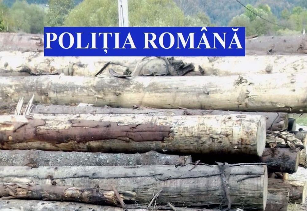 Dâmboviţa. Doi bărbați, cercetați de polițiști pentru tăiere și sustragere ilegală de material lemnos