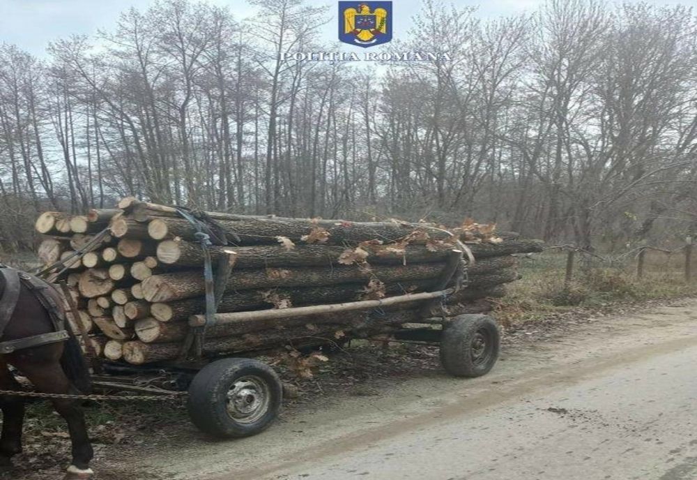 Dâmbovița: Tânăr depistat cu o căruță de lemne fără acte