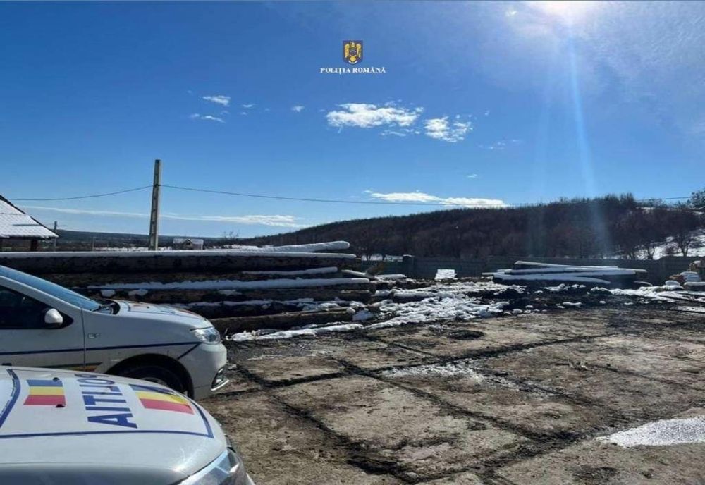 Acțiune pentru prevenirea și combaterea delictelor silvice în Dâmbovița. Aproape 67 de metri cubi de material lemnos confiscat de polițiști! 