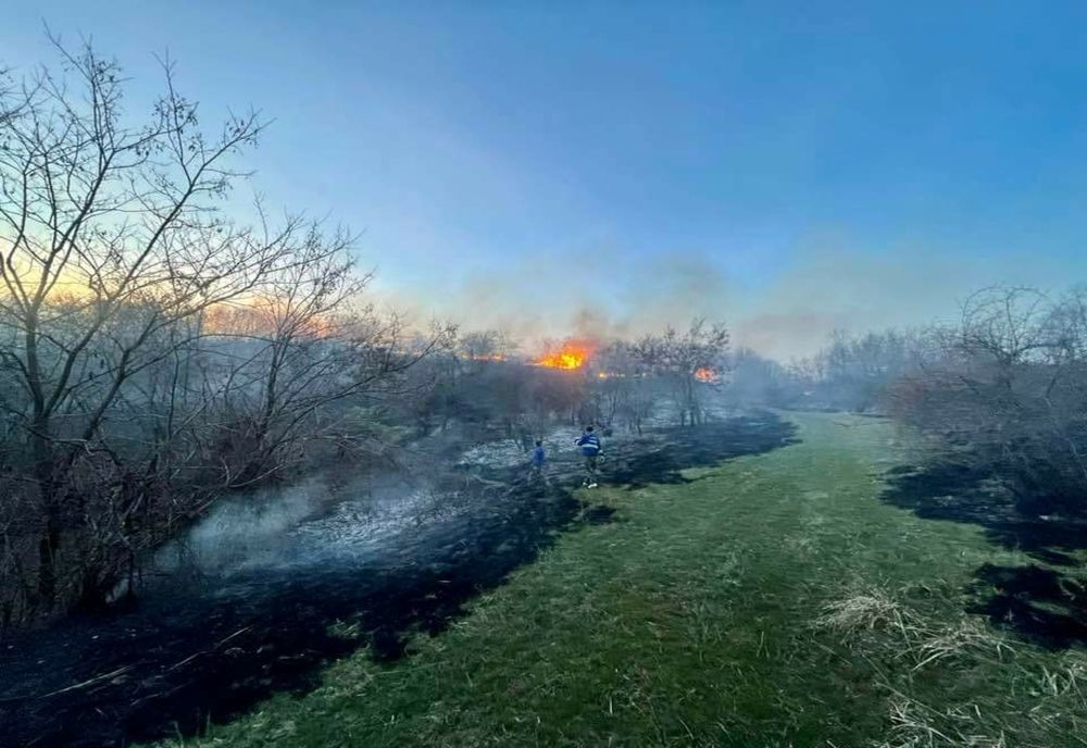 Incendiu violent de vegetaţie uscată într-o localitate din Dâmboviţa. Flăcările au cuprins peste 5000 de metri pătraţi