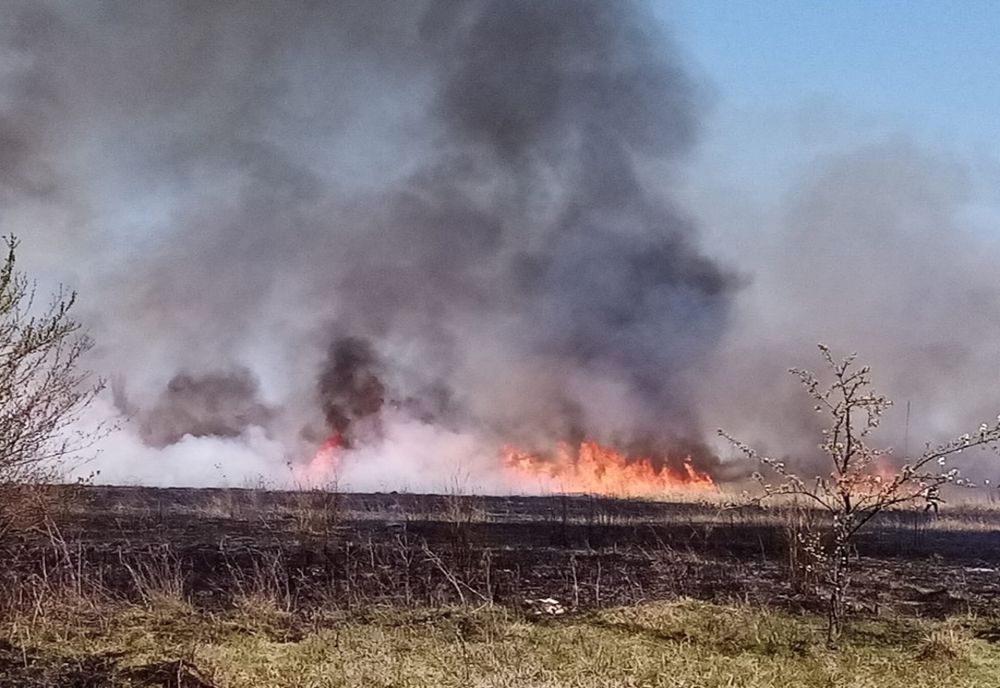 Dâmboviţa. Un bărbat a murit într-un incendiu de vegetaţie uscată