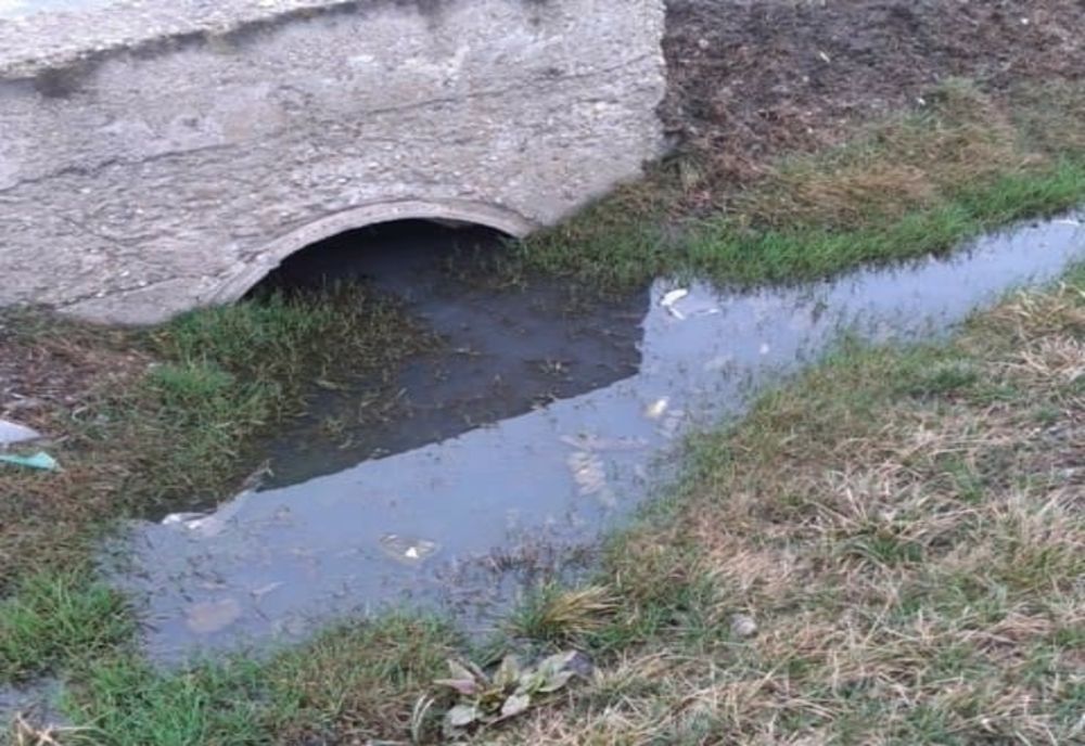 Spălătorie auto ilegală din Dâmbovița, închisă de comisarii de Mediu! 