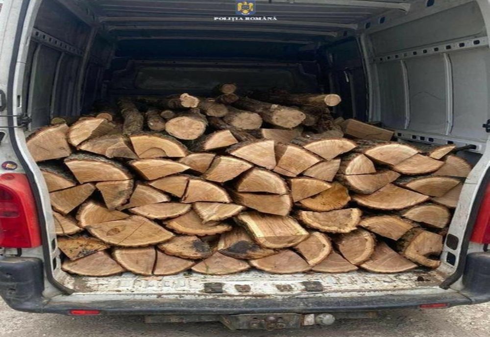Autoutilitară plină cu lemne, fără documente de transport, depistată în trafic de poliţiştii dâmboviţeni