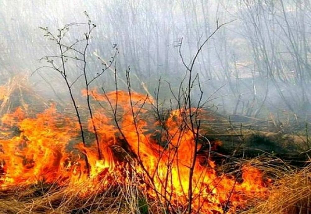 Dâmboviţa. Incendiu puternic de vegetație în apropierea unui depozit. O persoană a făcut atac de panică