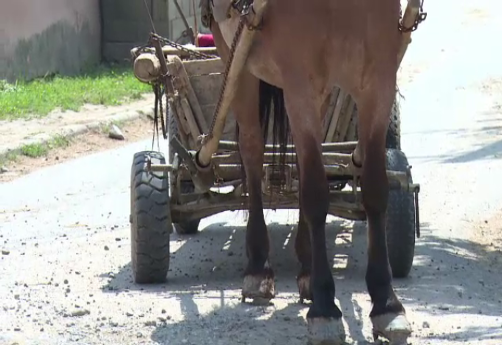 Femeie din Dâmbovița, transportată la spital după ce a căzut din căruță!