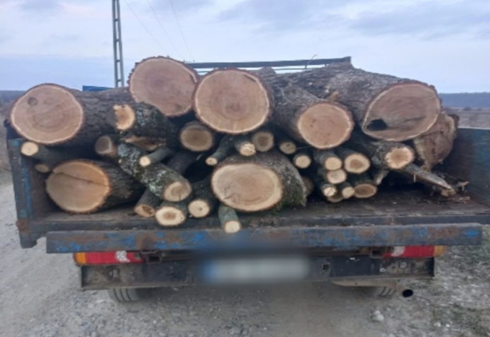  Dâmbovița. Șofer amendat drastic pentru că transporta ilegal lemne
