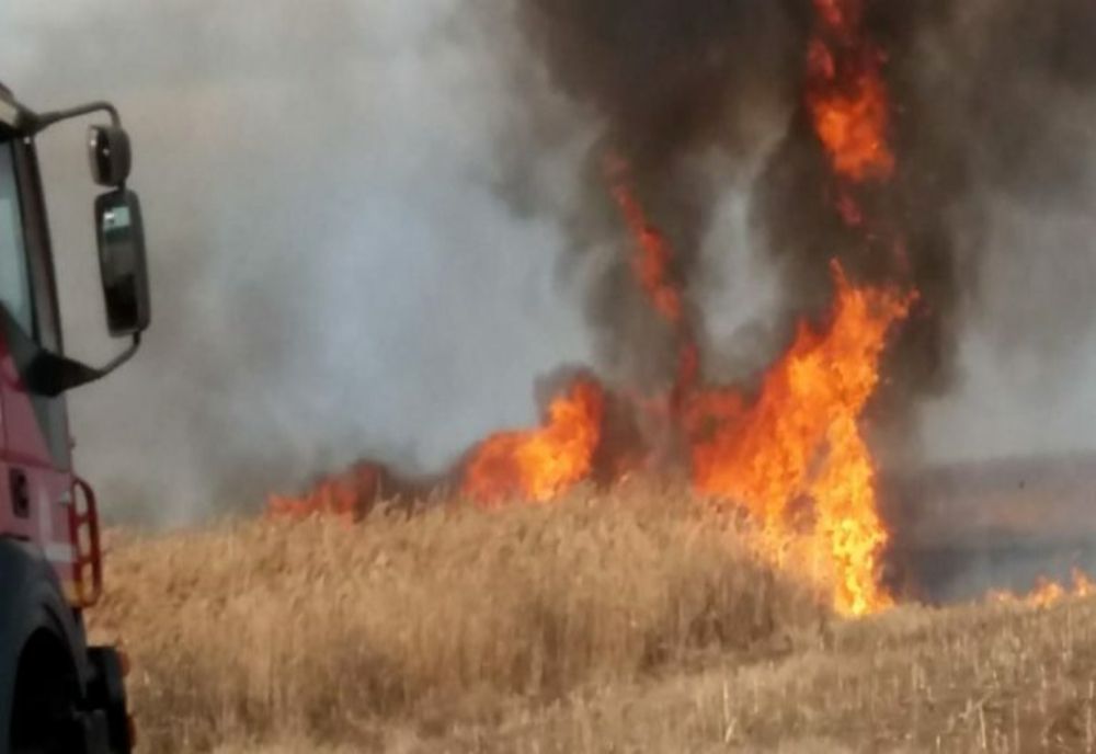 Dâmboviţa.  Cultură de grâu mistuită de flăcări