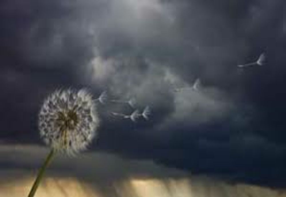 Prognoza meteo 16 aprilie: după temperaturi de vară, lovesc vijeliile și ninsorile