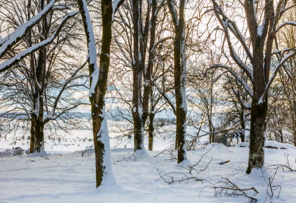 Variații mari de temperatură în decembrie: răcire accentuată după data de 18 decembrie