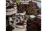 Percheziții la suspecți acuzați că au furat cabluri din parcuri fotovoltaice