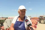 Drama fermierilor români: un kilogram de cartofi se vinde cu doar 30 de bani: „Prețul carburanților ne distruge!”
