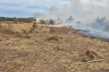Incendiu de vegetație uscată în Ludești. Pompierii au intervenit cu două autospeciale
