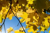 Vremea în România în următoarele 4 săptămâni. ANM anunță un octombrie mai cald decât normal