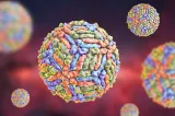 INSP: Un singur caz de infecție cu virusul West Nile, confirmat în județul Dâmbovița în 2026