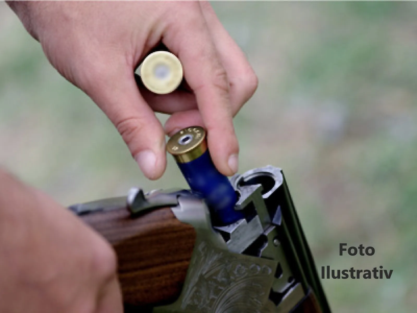 articol arme