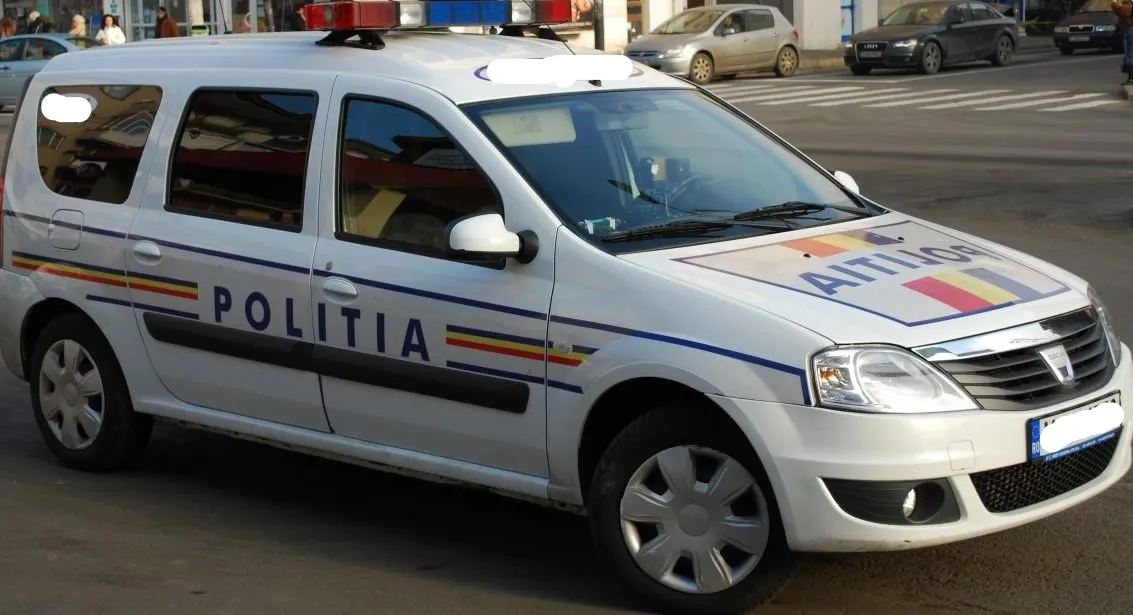articol pucioasa