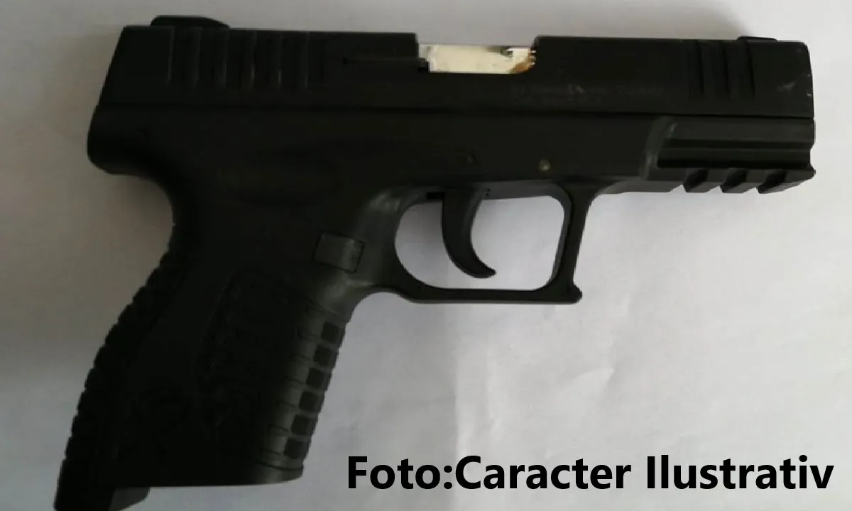 articol pistol