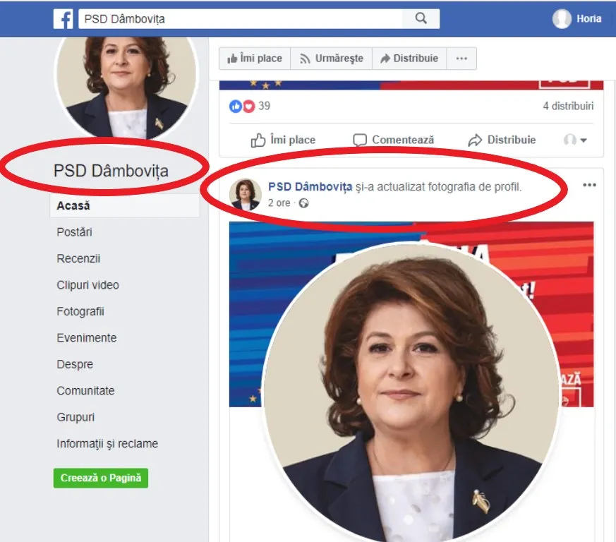 rovana subliniat